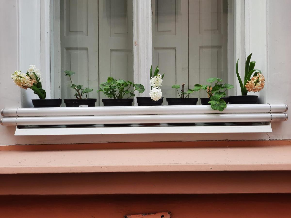 Downtown Prague Minimalistic Room In Flatshare Exterior foto